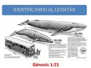 Leviatán del génesis