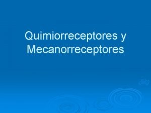 Quimiorreceptores y Mecanorreceptores Objetivos Discutir el diagrama que