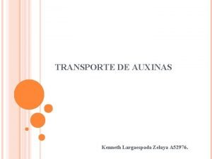 TRANSPORTE DE AUXINAS Kenneth Largaespada Zelaya A 52976