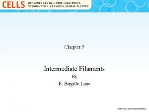 Chapter 9 Intermediate Filaments By E Birgitte Lane