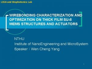 LIGA and Biophotonics Lab WIREBONDING CHARACTERIZATION AND OPTIMIZATION