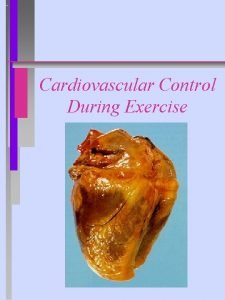 Cardiovascular Control During Exercise Cardiovascular Functions n Delivery