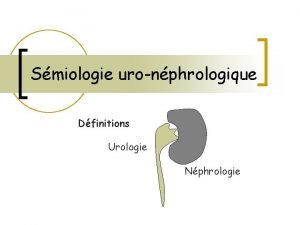 Smiologie uronphrologique Dfinitions Urologie Nphrologie Fonctions globales des