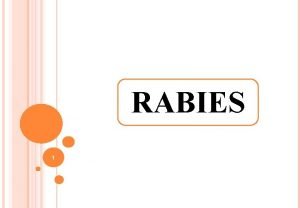 Rabies synonym