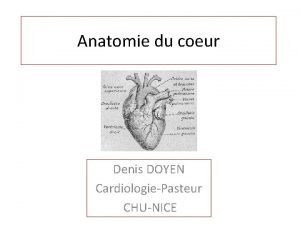 Anatomie du coeur Denis DOYEN CardiologiePasteur CHUNICE Introduction