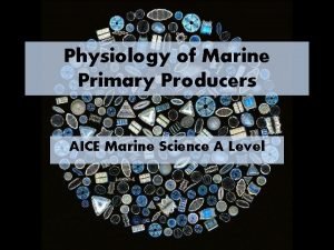 Physiology of Marine Primary Producers AICE Marine Science