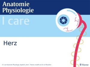 Systole diastole thieme