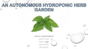 AN AUTONOMOUS HYDROPONIC HERB GARDEN GROUP 6 HYDROPONOMOUS