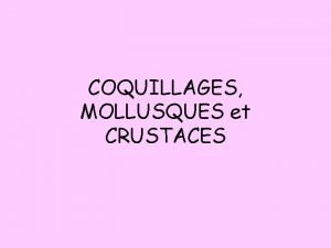 COQUILLAGES MOLLUSQUES et CRUSTACES La majorit des crustacs