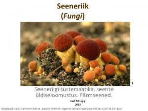 Seente paljunemine Seente paljunemine
