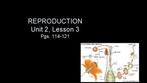 REPRODUCTION Unit 2 Lesson 3 Pgs 114 121