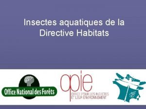Insectes aquatiques de la Directive Habitats Les Coloptres