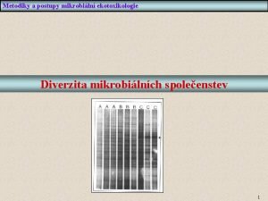 Metodiky a postupy mikrobiln ekotoxikologie Diverzita mikrobilnch spoleenstev