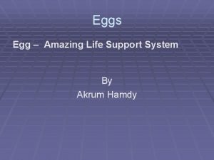 Eggs Egg Amazing Life Support System By Akrum