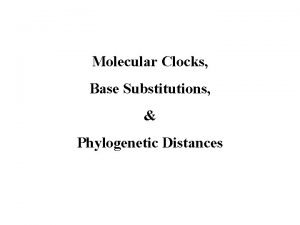 Molecular Clocks Base Substitutions Phylogenetic Distances Definition A