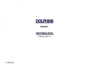 DOLPHINS CREATED BY NATASHA RAY 2 ND GRADE