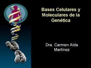 Bases Celulares y Moleculares de la Gentica Dra