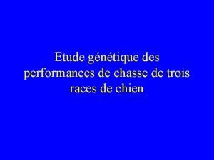 Etude gntique des performances de chasse de trois