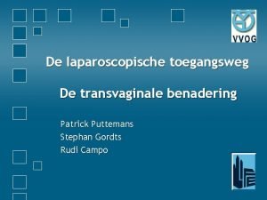 De laparoscopische toegangsweg De transvaginale benadering Patrick Puttemans