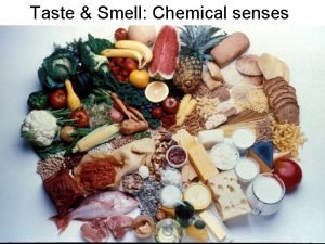 Taste Smell Chemical senses Mc Donalds Fries Win
