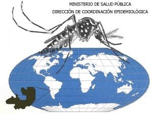 MINISTERIO DE SALUD PBLICA DIRECCIN DE COORDINACIN EPIDEMIOLGICA