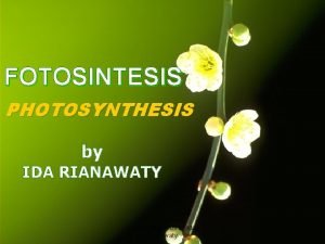 Fotosintesis maksud