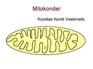 Mitokonder Koostas Kersti Veskimets Mitokonder on rakuaku Ribosoomid