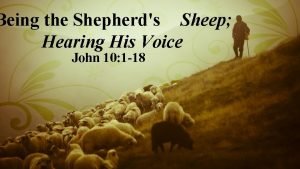Being the Shepherds Sheep Hearing His Voice John