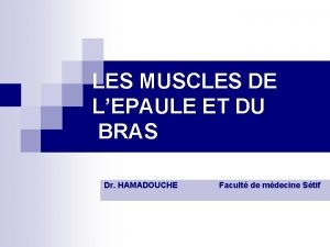 LES MUSCLES DE LEPAULE ET DU BRAS Dr