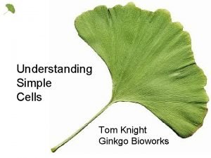 Tom knight ginkgo bioworks