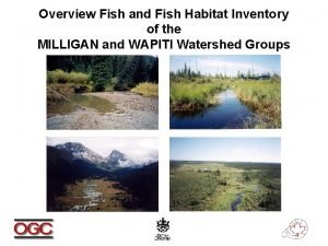 Overview Fish and Fish Habitat Inventory of the
