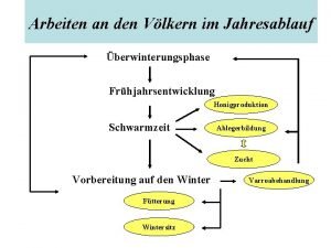 Arbeiten an den Vlkern im Jahresablauf berwinterungsphase Frhjahrsentwicklung