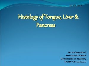Lamina propria of tongue Lamina propria of tongue