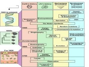 Nested Hierarchies the Order of Nature Carolus Linnaeus