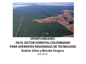 OPORTUNIDADES EN EL SECTOR FORESTAL COLOMBIANO PARA OFERENTES