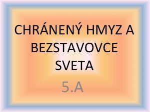 CHRNEN HMYZ A BEZSTAVOVCE SVETA 5 A VKY