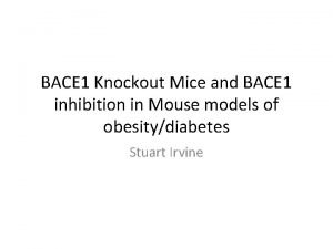 BACE 1 Knockout Mice and BACE 1 inhibition