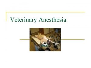 Anesthesia terminology Anesthesia terminology