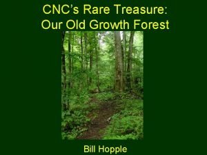 CNCs Rare Treasure Our Old Growth Forest Bill