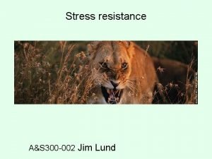 Stress resistance AS 300 002 Jim Lund Stress