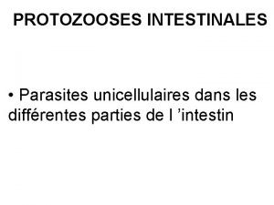 PROTOZOOSES INTESTINALES Parasites unicellulaires dans les diffrentes parties