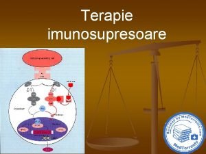 Terapie imunosupresoare Glucocorticoizi n Mecanisme de aciune n