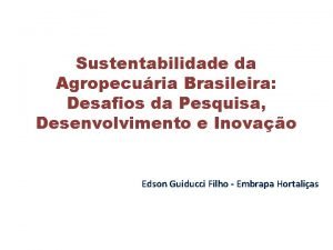 Sustentabilidade da Agropecuria Brasileira Desafios da Pesquisa Desenvolvimento