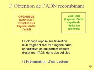 I Obtention de lADN recombinant ORGANISME DONNEUR Extraction