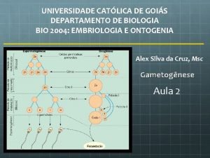 UNIVERSIDADE CATLICA DE GOIS DEPARTAMENTO DE BIOLOGIA BIO