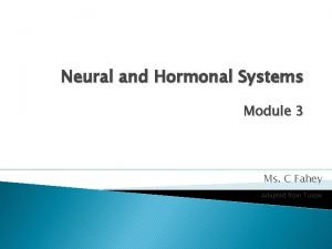 Neural and Hormonal Systems Module 3 Ms C