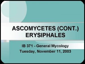 ASCOMYCETES CONT ERYSIPHALES IB 371 General Mycology Tuesday