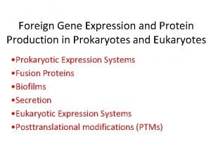 Foreign Gene Expression and Protein Production in Prokaryotes