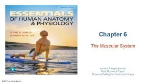 Chapter 6 the muscular system