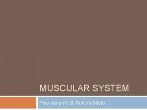 MUSCULAR SYSTEM Pau Junyent Aurora Nieto What are